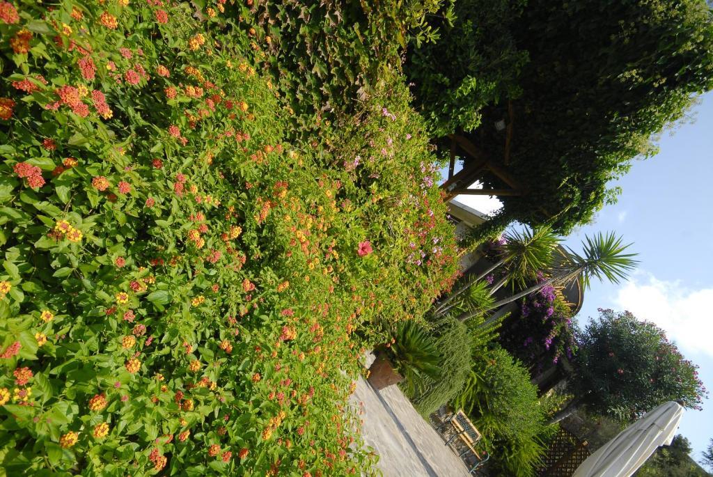 Hotel Danila Portoferraio Kültér fotó